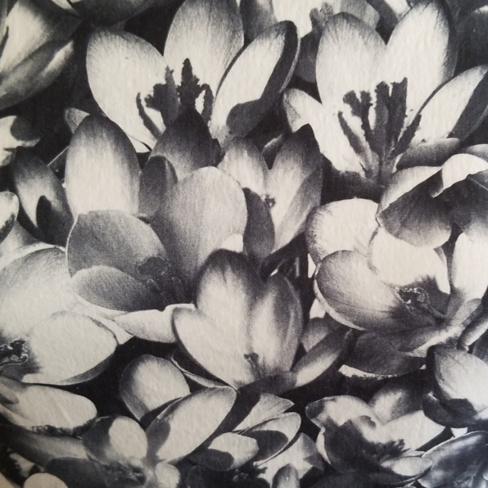 🌷SOLD🌷Michael Michael kors floral dress - Picture 3 of 8